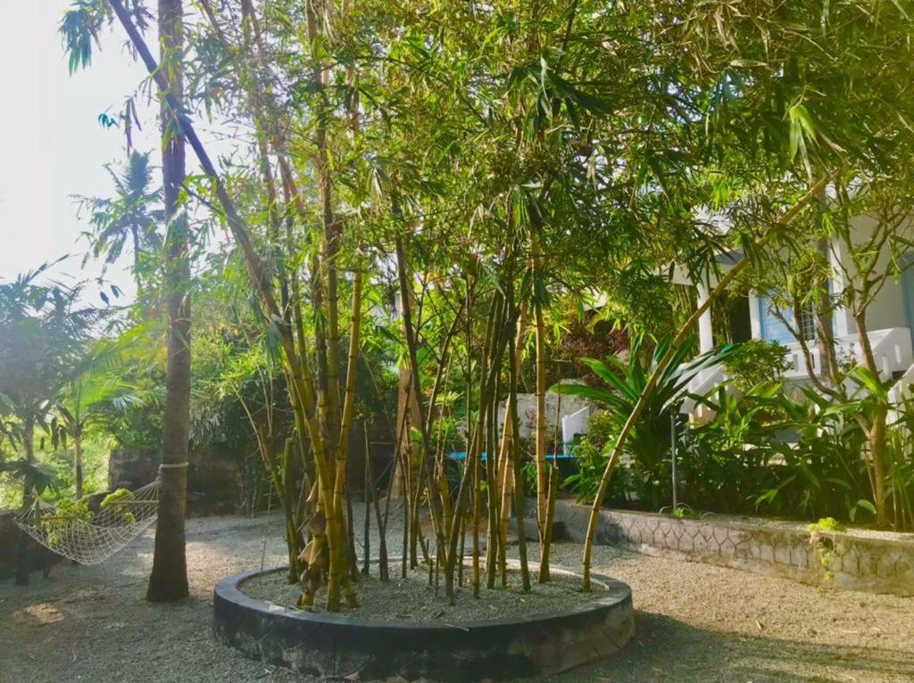 Petit Ana Beach Retreat Varkala Exterior photo